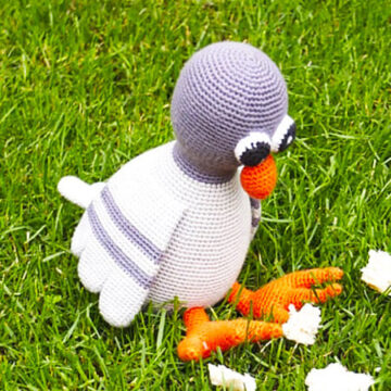 Amigurumi Pigeon Crochet PDF Free Pattern (1)