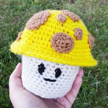 Sunny Mushroom Crochet Free PDF Pattern (1)