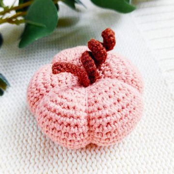 Pinky Pumpkin for Halloween Free PDF Pattern (1)
